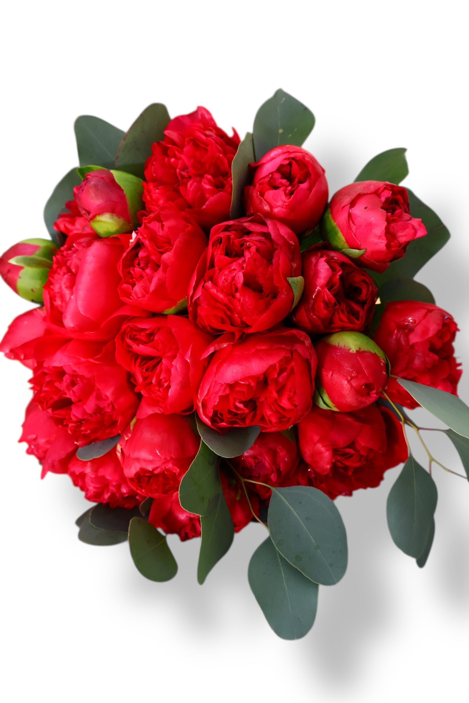 Buchet de mireasă cu bujori Buchet cu bujori și frunze de eucalipt – aranjament elegant de ocazie